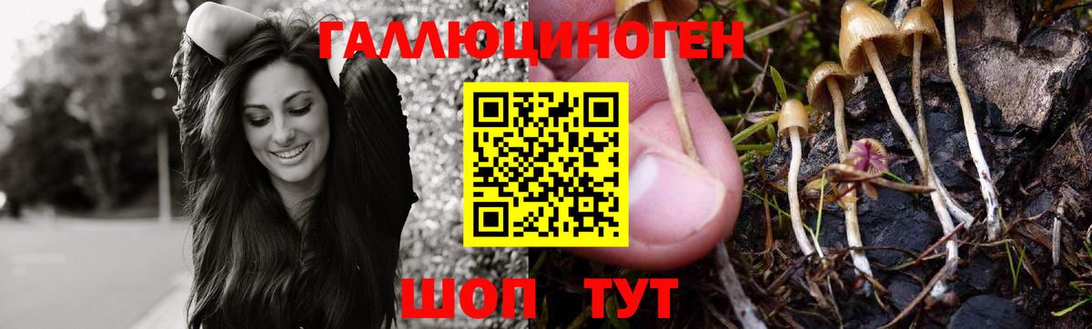 Галлюциногенные грибы Psilocybine cubensis Маркс